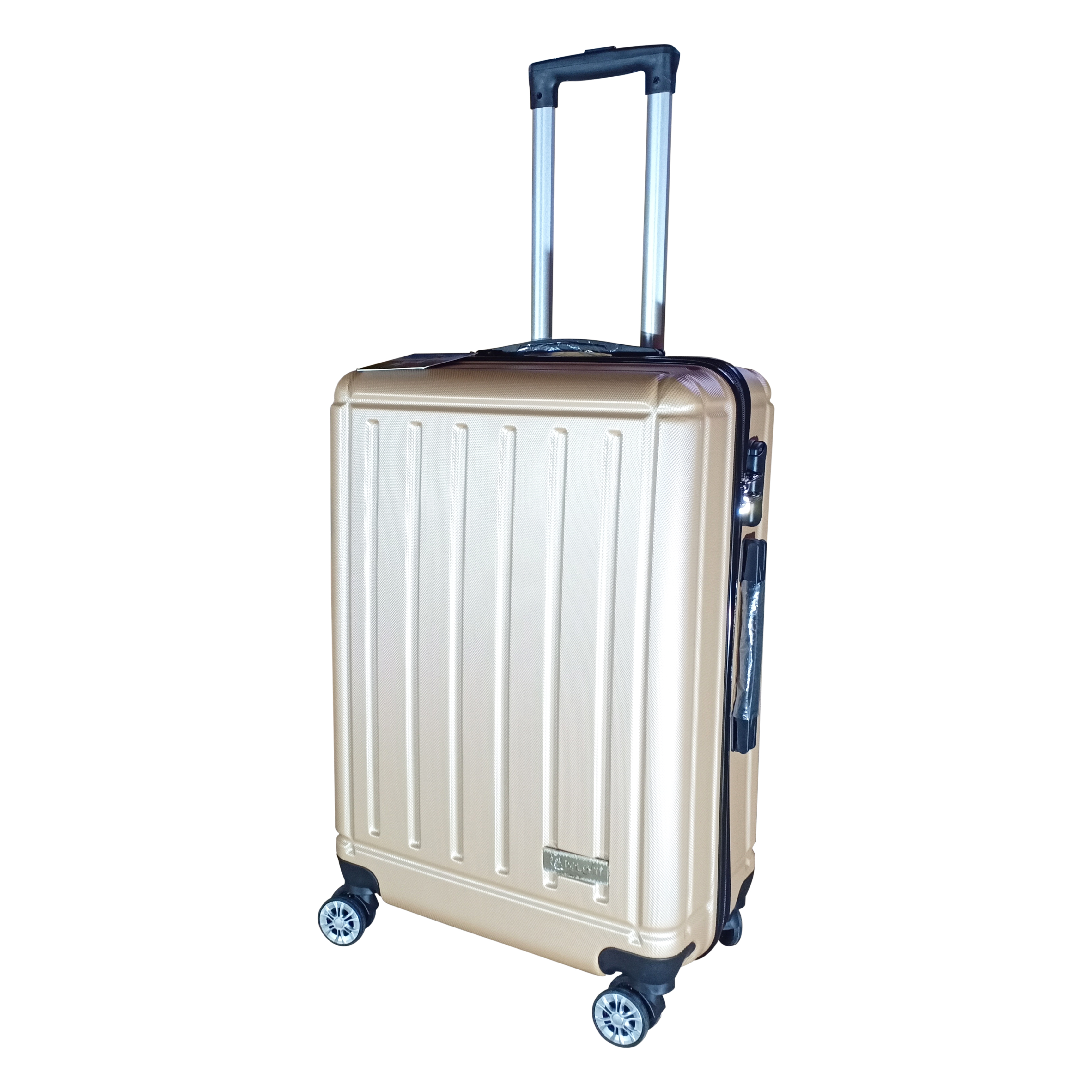 Vali Dolphin DP-193 - 24